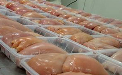 صادرات مرغ ممنوع می‌شود
