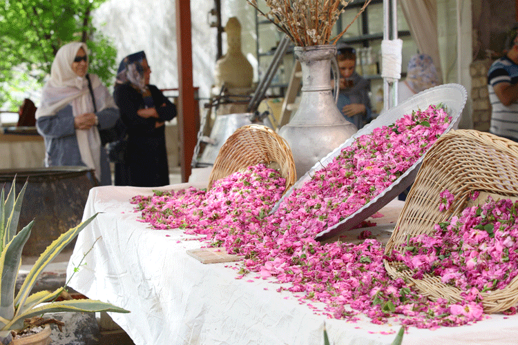 صادرات ۸ میلیون دلاری گلاب از اصفهان