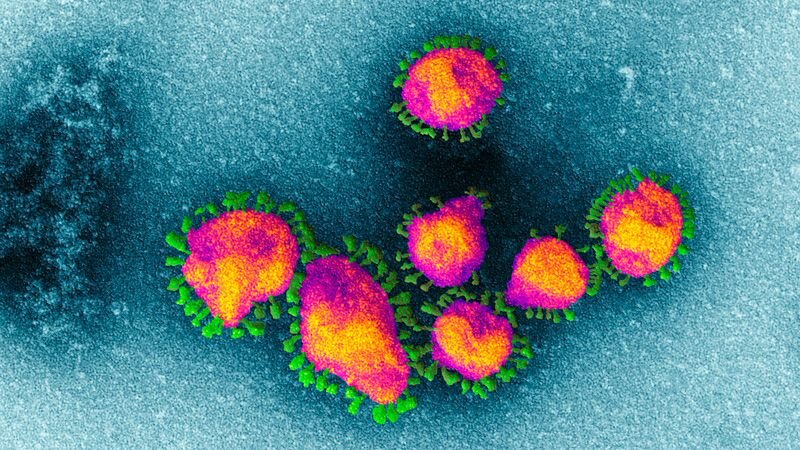اطلاعیه مهم وزارت بهداشت درباره ویروس کرونای جدید